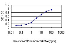 LLGL1 / HUGL Antibody - Detection limit for recombinant GST tagged LLGL1 is approximately 0.03 ng/ml as a capture antibody.
