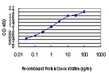 LLGL2 Antibody - Detection limit for recombinant GST tagged LLGL2 is approximately 0.03 ng/ml as a capture antibody.