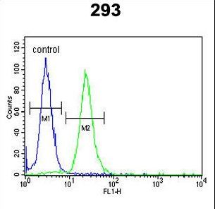 LMBR1L Antibody - LMBR1L Antibody flow cytometry of 293 cells (right histogram) compared to a negative control cell (left histogram). FITC-conjugated goat-anti-rabbit secondary antibodies were used for the analysis.