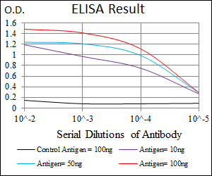 LMO2 Antibody - Red: Control Antigen (100ng); Purple: Antigen (10ng); Green: Antigen (50ng); Blue: Antigen (100ng);