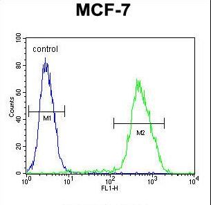LMO4 Antibody - LMO4 Antibody flow cytometry of MCF-7 cells (right histogram) compared to a negative control cell (left histogram). FITC-conjugated goat-anti-rabbit secondary antibodies were used for the analysis.