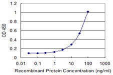 LONRF1 Antibody - Detection limit for recombinant GST tagged LONRF1 is 1 ng/ml as a capture antibody.