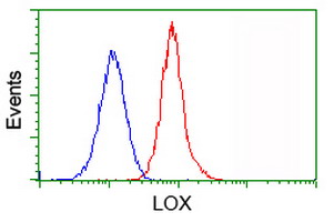 LOX / Lysyl Oxidase Antibody - Flow cytometry of Jurkat cells, using anti-LOX antibody (Red), compared to a nonspecific negative control antibody (Blue).
