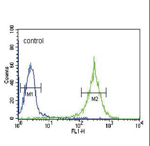 LP-PLA2 / PLA2G7 Antibody - PLA2G7 Antibody flow cytometry of HL-60 cells (right histogram) compared to a negative control cell (left histogram). FITC-conjugated goat-anti-rabbit secondary antibodies were used for the analysis.