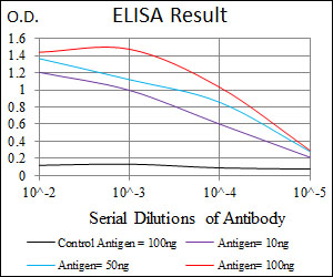 LPA / Lipoprotein a Antibody - Red: Control Antigen (100ng); Purple: Antigen (10ng); Green: Antigen (50ng); Blue: Antigen (100ng);