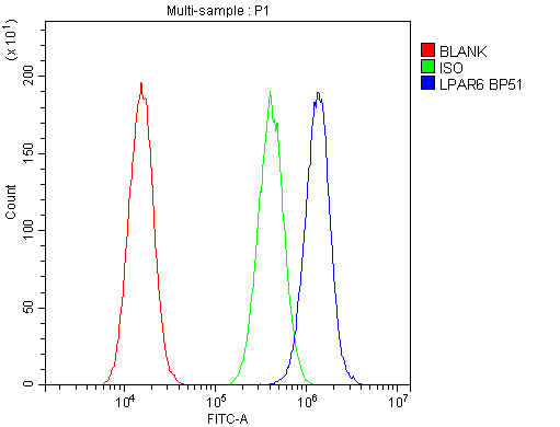 LPAR6 / P2RY5 / P2Y5 Antibody - Flow Cytometry analysis of A549 cells using anti-P2RY5 antibody. Overlay histogram showing A549 cells stained with anti-P2RY5 antibody (Blue line). The cells were blocked with 10% normal goat serum. And then incubated with rabbit anti-P2RY5 Antibody (1µg/10E6 cells) for 30 min at 20°C. DyLight®488 conjugated goat anti-rabbit IgG (5-10µg/10E6 cells) was used as secondary antibody for 30 minutes at 20°C. Isotype control antibody (Green line) was rabbit IgG (1µg/10E6 cells) used under the same conditions. Unlabelled sample (Red line) was also used as a control.