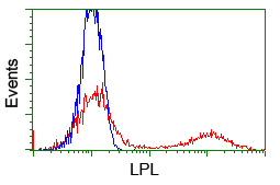 LPL / Lipoprotein Lipase Antibody - HEK293T cells transfected with either overexpress plasmid (Red) or empty vector control plasmid (Blue) were immunostained by anti-LPL antibody, and then analyzed by flow cytometry.