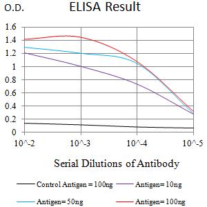 LRP1B Antibody - Black line: Control Antigen (100 ng);Purple line: Antigen (10ng); Blue line: Antigen (50 ng); Red line:Antigen (100 ng)