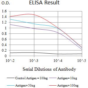 LRP4 Antibody - Black line: Control Antigen (100 ng);Purple line: Antigen (10ng); Blue line: Antigen (50 ng); Red line:Antigen (100 ng)