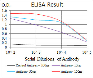 LRP5 Antibody - Red: Control Antigen (100ng); Purple: Antigen (10ng); Green: Antigen (50ng); Blue: Antigen (100ng);