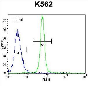 LRRC21 Antibody - LRIT1 Antibody flow cytometry of K562 cells (right histogram) compared to a negative control cell (left histogram). FITC-conjugated goat-anti-rabbit secondary antibodies were used for the analysis.