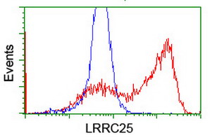 LRRC25 Antibody - HEK293T cells transfected with either overexpress plasmid (Red) or empty vector control plasmid (Blue) were immunostained by anti-LRRC25 antibody, and then analyzed by flow cytometry.