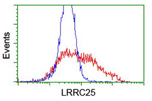 LRRC25 Antibody - HEK293T cells transfected with either overexpress plasmid (Red) or empty vector control plasmid (Blue) were immunostained by anti-LRRC25 antibody, and then analyzed by flow cytometry.