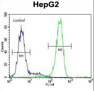LRRC40 Antibody - LRC40 Antibody flow cytometry of HepG2 cells (right histogram) compared to a negative control cell (left histogram). FITC-conjugated goat-anti-rabbit secondary antibodies were used for the analysis.