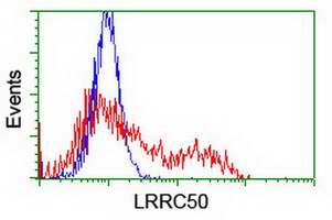 LRRC50 Antibody - HEK293T cells transfected with either overexpress plasmid (Red) or empty vector control plasmid (Blue) were immunostained by anti-LRRC50 antibody, and then analyzed by flow cytometry.