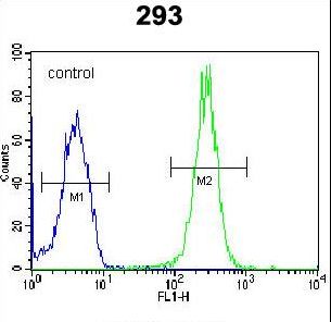 LRRC57 Antibody - LRRC57 Antibody flow cytometry of 293 cells (right histogram) compared to a negative control cell (left histogram). FITC-conjugated goat-anti-rabbit secondary antibodies were used for the analysis.