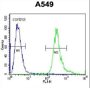 LRRC6 Antibody - LRRC6 Antibody flow cytometry of A549 cells (right histogram) compared to a negative control cell (left histogram). FITC-conjugated goat-anti-rabbit secondary antibodies were used for the analysis.