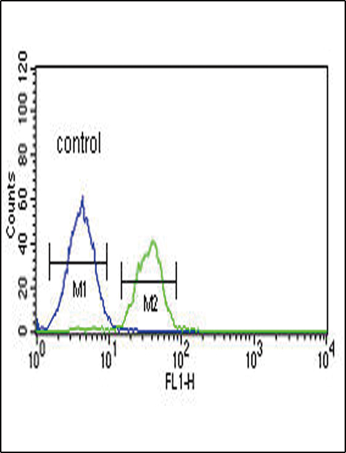 LRRN3 Antibody - LRRN3 Antibody flow cytometry of K562 cells (right histogram) compared to a negative control cell (left histogram). FITC-conjugated goat-anti-rabbit secondary antibodies were used for the analysis.