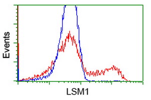 LSM1 Antibody - HEK293T cells transfected with either overexpress plasmid (Red) or empty vector control plasmid (Blue) were immunostained by anti-LSM1 antibody, and then analyzed by flow cytometry.