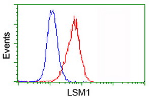 LSM1 Antibody - Flow cytometry of HeLa cells, using anti-LSM1 antibody (Red), compared to a nonspecific negative control antibody (Blue).