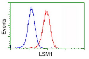 LSM1 Antibody - Flow cytometry of Jurkat cells, using anti-LSM1 antibody (Red), compared to a nonspecific negative control antibody (Blue).