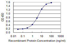 LSP1 Antibody - Detection limit for recombinant GST tagged LSP1 is 0.1 ng/ml as a capture antibody.