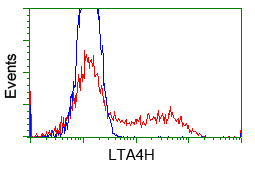 LTA4H / LTA4 Antibody - HEK293T cells transfected with either pCMV6-ENTRY LTA4H (Red) or empty vector control plasmid (Blue) were immunostained with anti-LTA4H mouse monoclonal, and then analyzed by flow cytometry.