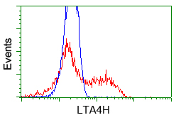 LTA4H / LTA4 Antibody - HEK293T cells transfected with either pCMV6-ENTRY LTA4H (Red) or empty vector control plasmid (Blue) were immunostained with anti-LTA4H mouse monoclonal, and then analyzed by flow cytometry.