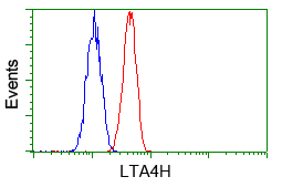 LTA4H / LTA4 Antibody - Flow cytometric analysis of Hela cells, using anti-LTA4H antibody, (Red) compared to a nonspecific negative control antibody (Blue).