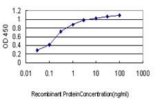LTBP2 Antibody - Detection limit for recombinant GST tagged LTBP2 is approximately 0.03 ng/ml as a capture antibody.