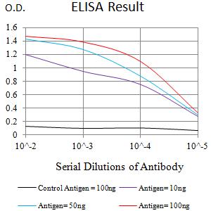 LTBR Antibody - Black line: Control Antigen (100 ng);Purple line: Antigen (10ng); Blue line: Antigen (50 ng); Red line:Antigen (100 ng)