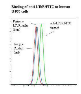 LTBR Antibody - Flow cytometry of LTBR antibody This image was taken for the unconjugated form of this product. Other forms have not been tested.