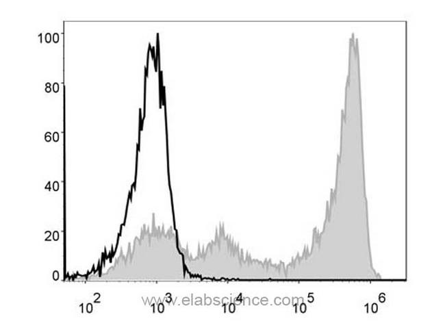 Ly6g / Gr1 Antibody