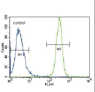 LYN Antibody - LYN Antibody flow cytometry of HeLa cells (right histogram) compared to a negative control cell (left histogram). FITC-conjugated goat-anti-rabbit secondary antibodies were used for the analysis.
