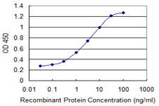 LYST Antibody - Detection limit for recombinant GST tagged LYST is 0.03 ng/ml as a capture antibody.