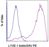 LYVE1 Antibody - Staining of LYVE-1 transfected cells with 0.06 ug of Biotin Rat IgG1 isotype control (blue histogram) or 0.06 ug of Biotin anti-mouse LYVE-1 (Lymphatic Vessel Endothelial Receptor 1) (purple histogram) followed by Streptavidin-PE. Total viable cells were used for analysis. This image was taken for the unconjugated form of this product. Other forms have not been tested.
