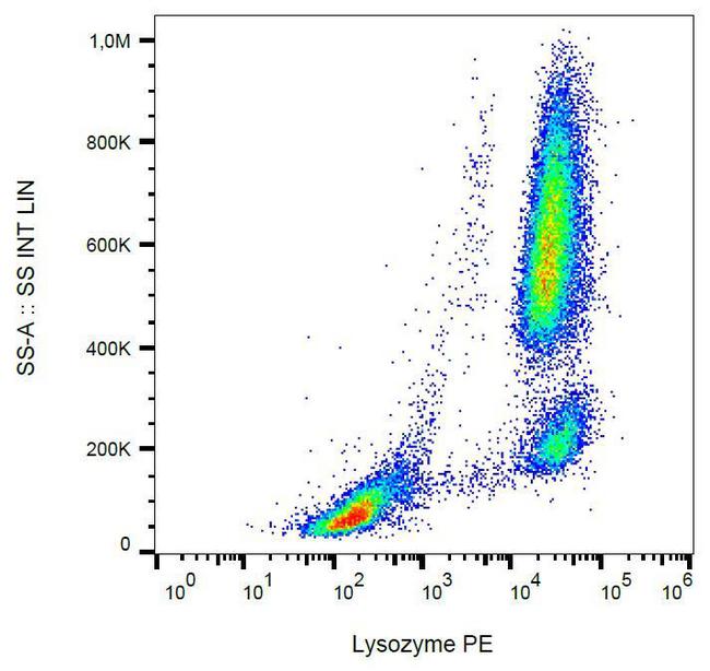 LYZ / Lysozyme Antibody - Intracellular staining of lysozyme in human peripheral blood with anti-lysozyme (LZ598-10G9) PE. 