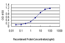 LZTFL1 Antibody - Detection limit for recombinant GST tagged LZTFL1 is approximately 0.1 ng/ml as a capture antibody.