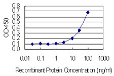 M-PST / STM Antibody - Detection limit for recombinant GST tagged SULT1A3 is 1 ng/ml as a capture antibody.