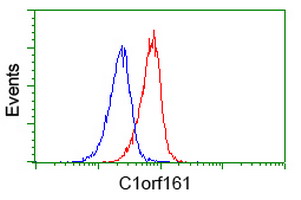 MAB21L3 / C1orf161 Antibody - Flow cytometry of Jurkat cells, using anti-C1orf161 antibody (Red), compared to a nonspecific negative control antibody (Blue).