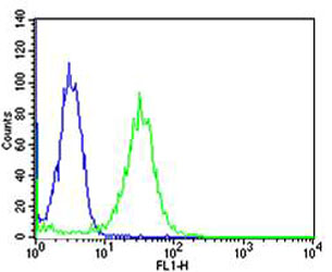 MAFK Antibody - Flow cytometric of HeLa cells with MAFK Antibody (green) compared to an isotype control of mouse IgG1 (blue). Antibody was diluted at 1:25 dilution. An Alexa Fluor 488 goat anti-mouse lgG at 1:400 dilution was used as the secondary antibody.
