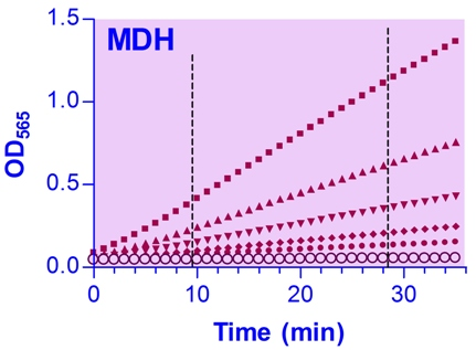 MDH / Malate Dehydrogenase Assay Kit