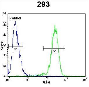 MAN2A1 / Mannosidase II Antibody - MAN2A1 Antibody flow cytometry of 293 cells (right histogram) compared to a negative control cell (left histogram). FITC-conjugated goat-anti-rabbit secondary antibodies were used for the analysis.