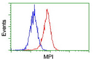 Mannose Phosphate Isomerase Antibody - Flow cytometry of HeLa cells, using anti-MPI antibody (Red), compared to a nonspecific negative control antibody (Blue).