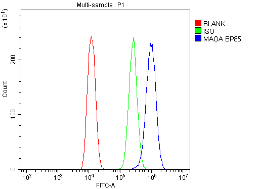 MAOA / Monoamine Oxidase Antibody - Flow Cytometry analysis of U20S cells using anti-MAOA antibody. Overlay histogram showing U20S cells stained with anti-MAOA antibody (Blue line). The cells were blocked with 10% normal goat serum. And then incubated with rabbit anti-MAOA Antibody (1µg/10E6 cells) for 30 min at 20°C. DyLight®488 conjugated goat anti-rabbit IgG (5-10µg/10E6 cells) was used as secondary antibody for 30 minutes at 20°C. Isotype control antibody (Green line) was rabbit IgG (1µg/10E6 cells) used under the same conditions. Unlabelled sample (Red line) was also used as a control.