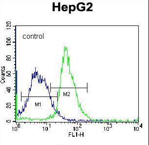MAP1LC3B / LC3B Antibody - APG8b(MAP1LC3B) Antibody (N-term T29) flow cytometry of K562 cells (right histogram) compared to a negative control cell (left histogram). FITC-conjugated donkey-anti-rabbit secondary antibodies were used for the analysis.
