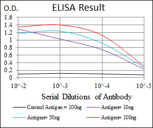MAP1LC3B / LC3B Antibody - Red: Control Antigen (100ng); Purple: Antigen (10ng); Green: Antigen (50ng); Blue: Antigen (100ng);
