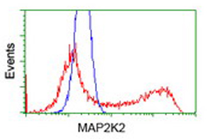 MAP2K2 / MKK2 / MEK2 Antibody - HEK293T cells transfected with either overexpress plasmid (Red) or empty vector control plasmid (Blue) were immunostained by anti-MAP2K2 antibody, and then analyzed by flow cytometry.