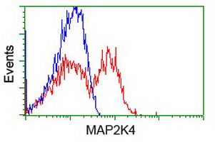 MAP2K4 / MKK4 Antibody - HEK293T cells transfected with either overexpress plasmid (Red) or empty vector control plasmid (Blue) were immunostained by anti-MAP2K4 antibody, and then analyzed by flow cytometry.
