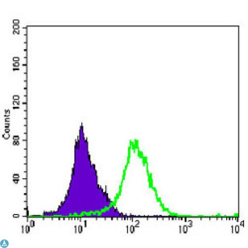 MAP2K4 / MKK4 Antibody - Flow cytometric (FCM) analysis of K562 cells using MEK-4 Monoclonal Antibody (green) and negative control (purple).